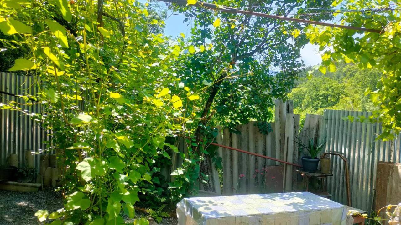 Guest House Gogias Cixe 博尔若米 外观 照片