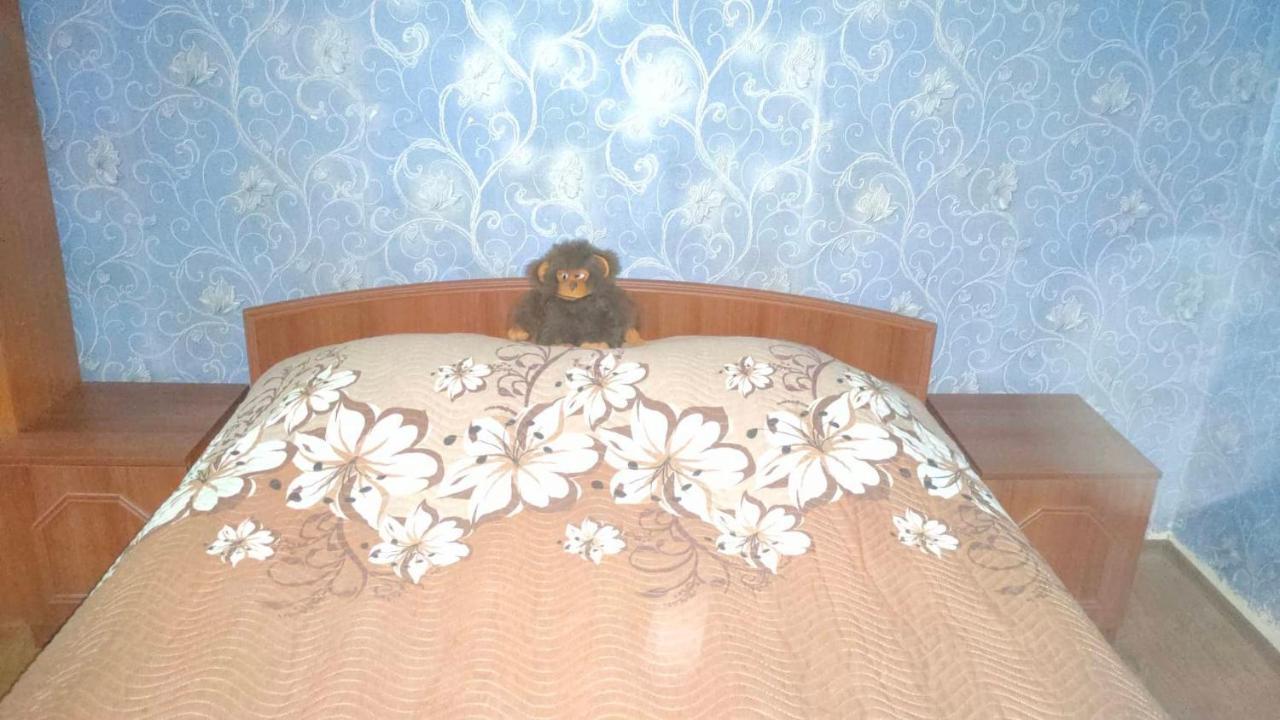 Guest House Gogias Cixe 博尔若米 外观 照片